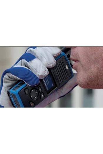 Entel DT944 ATIS