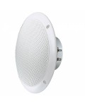 Visaton FR 10 WP